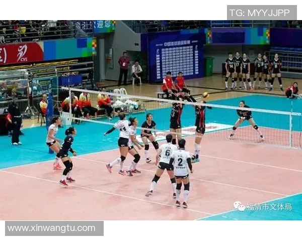 武汉排球队的整体压制革新探索与发展之路全景分析